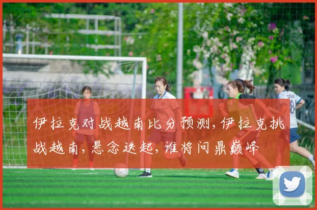 伊拉克对战越南比分预测,伊拉克挑战越南,悬念迭起,谁将问鼎巅峰