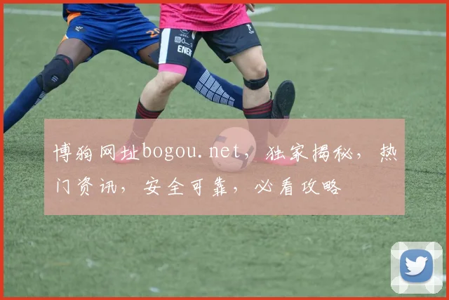 博狗网址bogou.net，独家揭秘，热门资讯，安全可靠，必看攻略