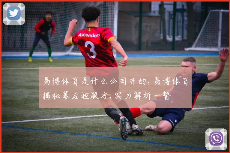 易博体育是什么公司开的,易博体育揭秘幕后控股方,实力解析一瞥